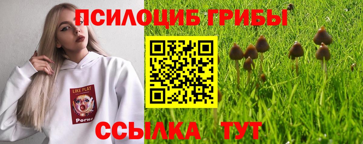 Галлюциногенные грибы MAGIC MUSHROOMS Комсомольск-на-Амуре