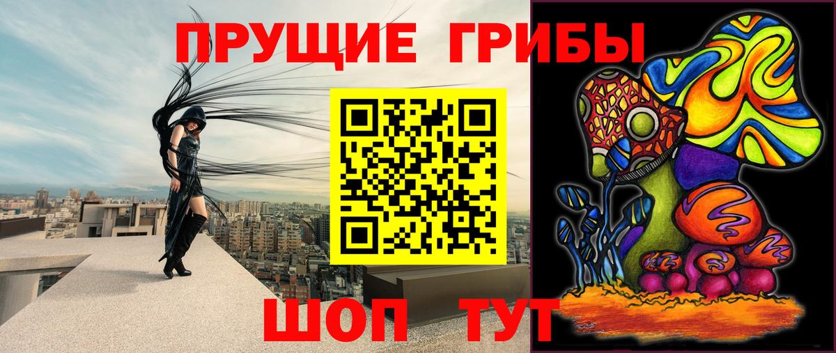 Псилоцибиновые грибы MAGIC MUSHROOMS  Вход с VPN  Комсомольск-на-Амуре 